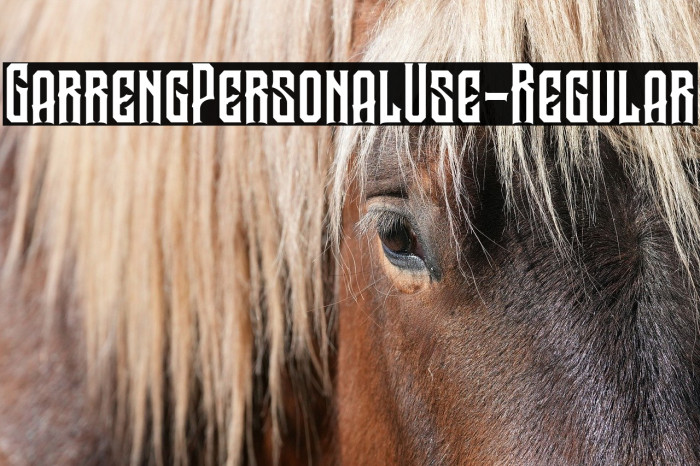 GarrengPersonalUse-Regular Example 2