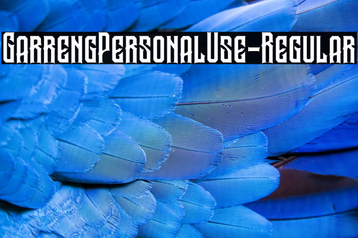 GarrengPersonalUse-Regular Example 3