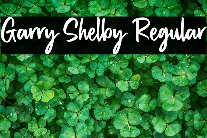 Garry Shelby Regular Example 2