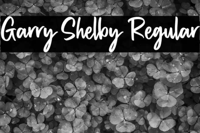 Garry Shelby Regular Font examples