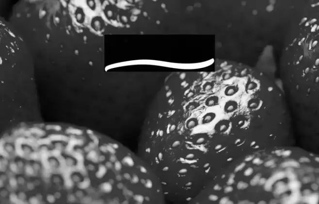 Garry Shelby Swashes Font examples