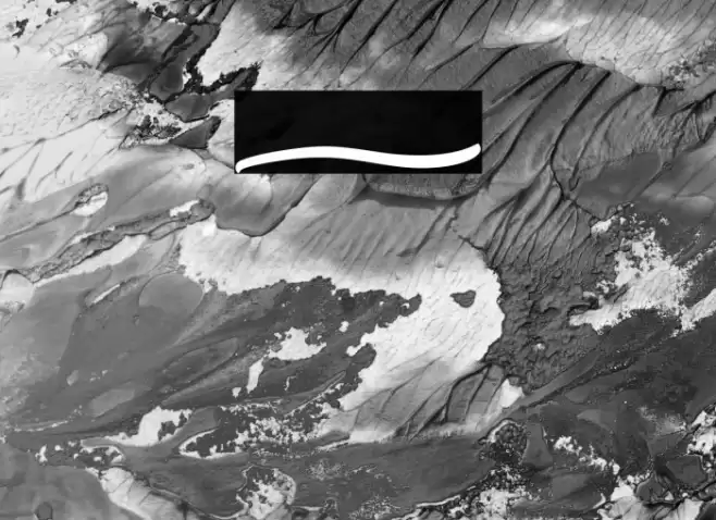 Garry Shelby Swashes Font examples