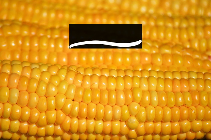 Garry Shelby Swashes Example 3