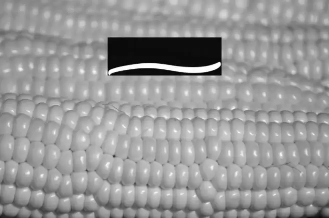 Garry Shelby Swashes Font examples