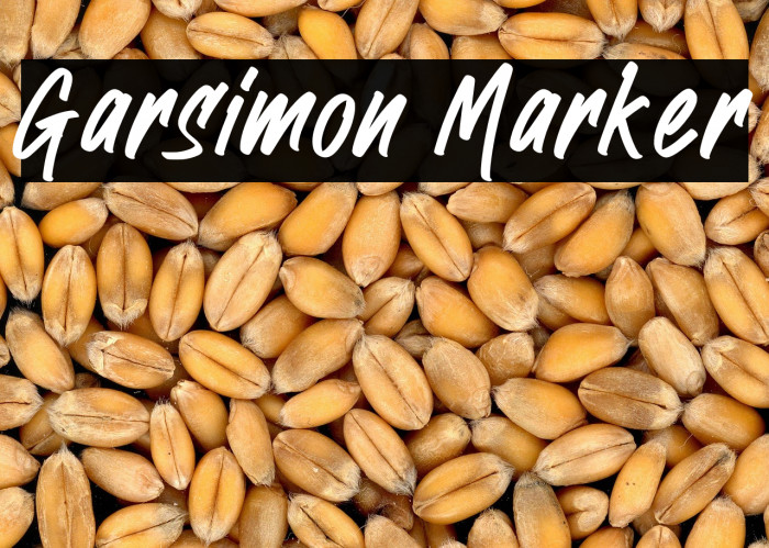 Garsimon Marker Example 2