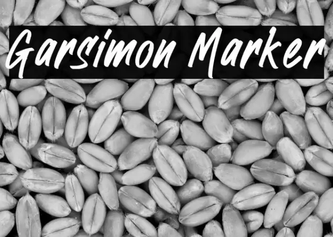 Garsimon Marker Font examples