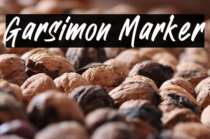 Garsimon Marker Example 3