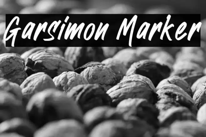 Garsimon Marker Font examples