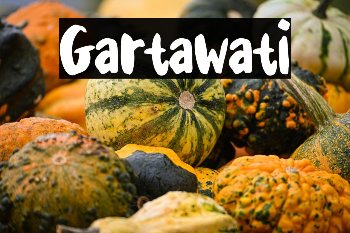Gartawati Example 1