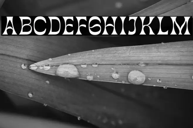 GartenHouseDemo خط examples