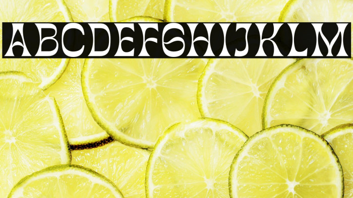 GartenHouseDemo Example 3