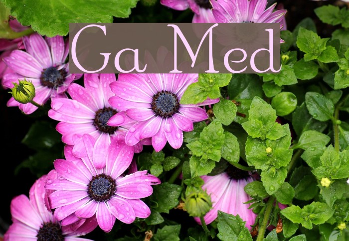 Garton Medium Font examples