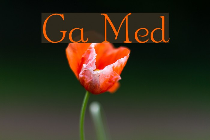 Garton Medium Font examples
