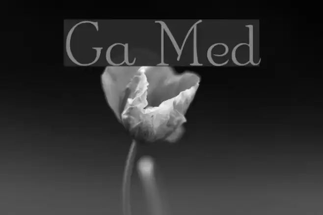 Garton Medium Font examples