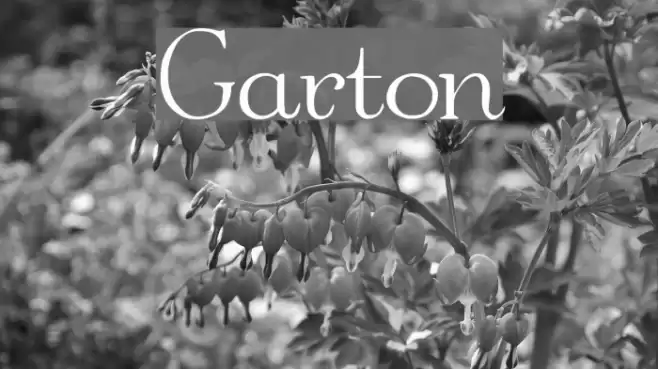 Garton Font examples