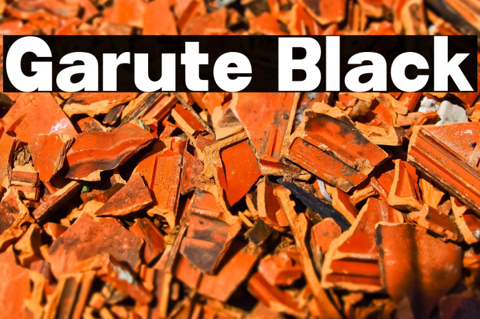 Garute Black Example 1