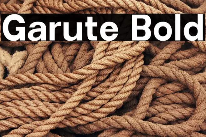 Garute Bold Example 1