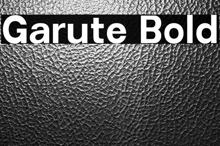 Garute Bold Example 3