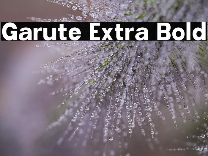 Garute Extra Bold Example 1