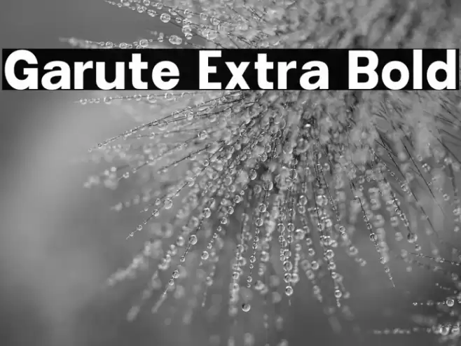 Garute Extra Bold Font examples