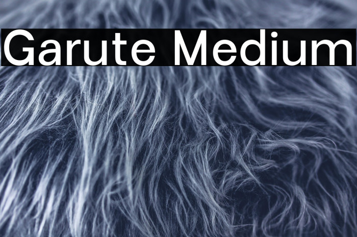 Garute Medium Example 1