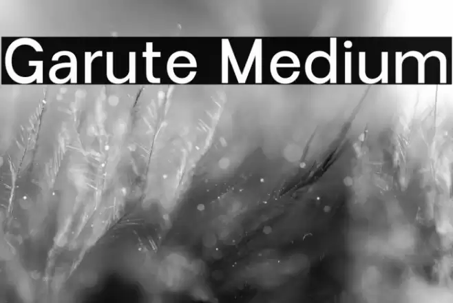 Garute Medium Font examples