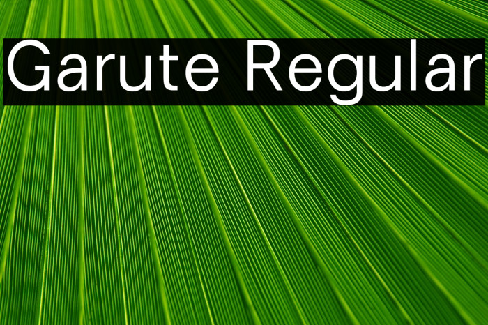 Garute Regular Example 2