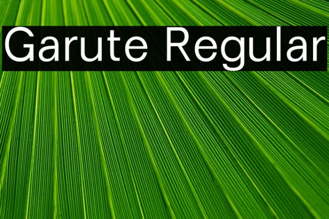 Garute Regular Example 2