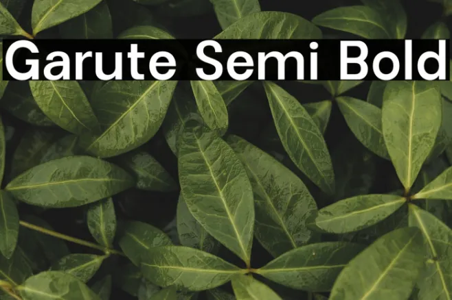 Garute Semi Bold Example 3
