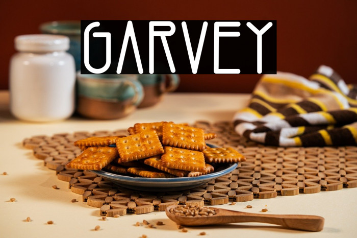 Garvey Example 1