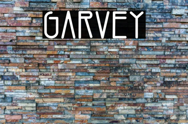 Garvey Example 2