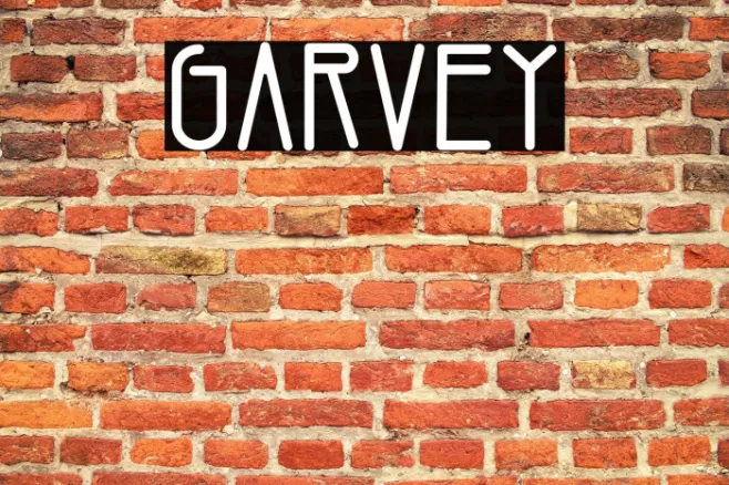 Garvey Example 3