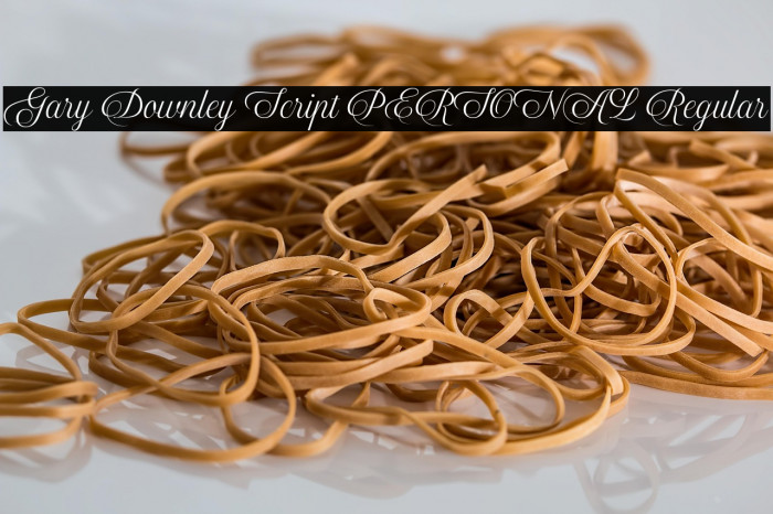 Gary Downley Script PERSONAL Regular Example 2