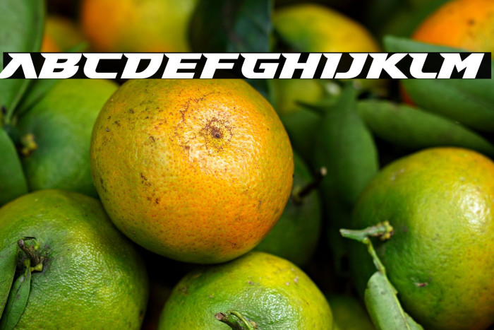 Gary Fisher Example 2