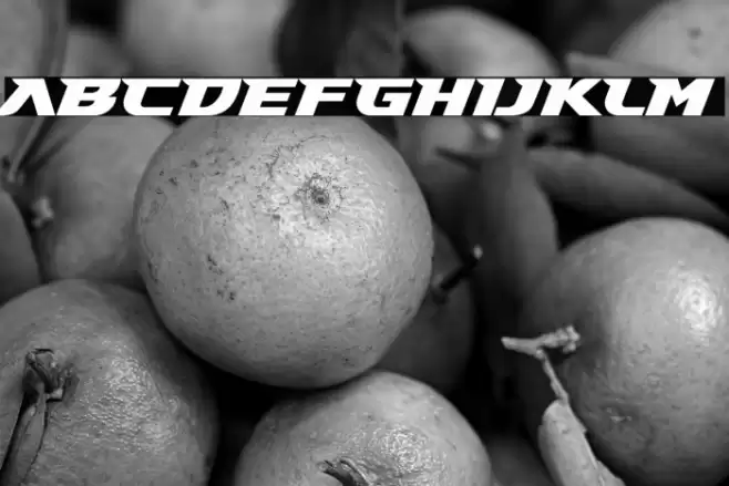 Gary Fisher Fuentes examples