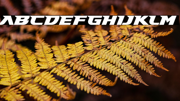 Gary Fisher Example 3