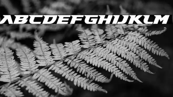 Gary Fisher Fuentes examples