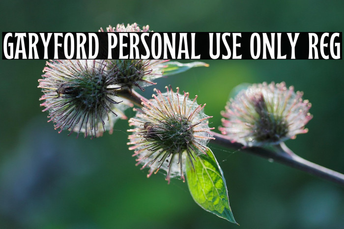 Garyford PERSONAL USE ONLY Reg Example 1