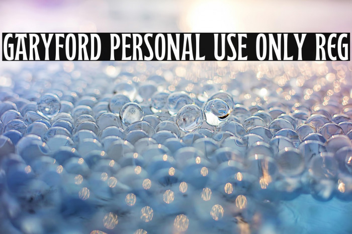 Garyford PERSONAL USE ONLY Reg Example 2