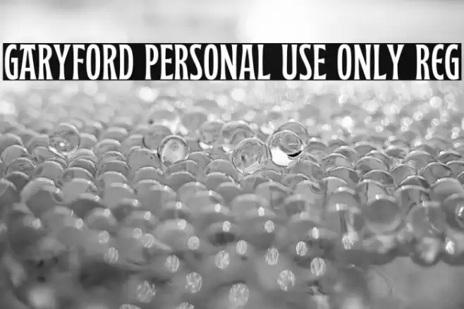 Garyford PERSONAL USE ONLY Reg Font examples