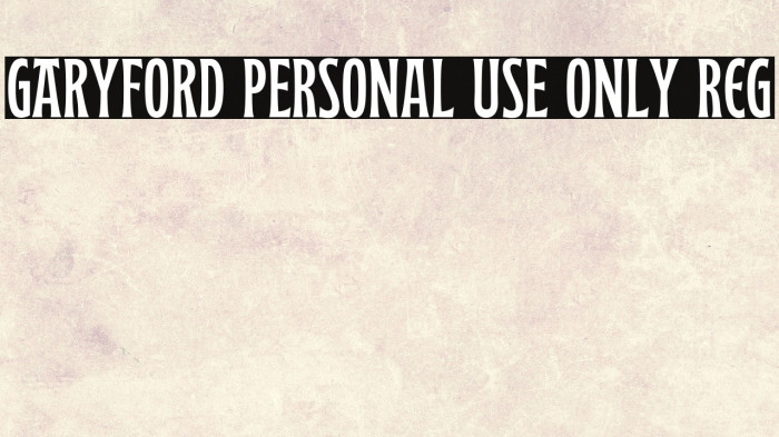 Garyford PERSONAL USE ONLY Reg Example 3