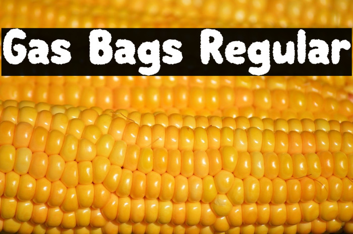 Gas Bags Regular Example 1