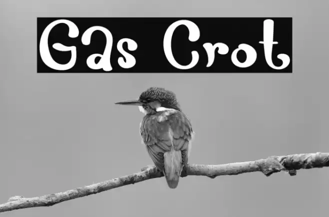 Gas Crot Font examples
