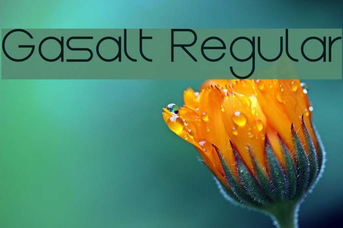Gasalt Regular Font examples