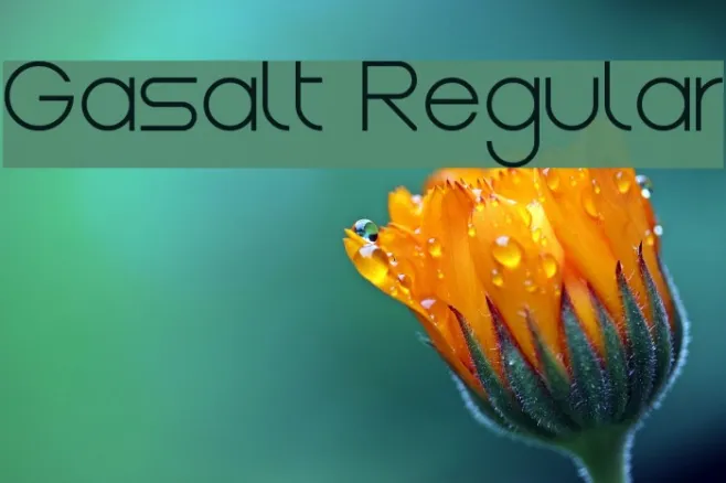 Gasalt Regular Example 2