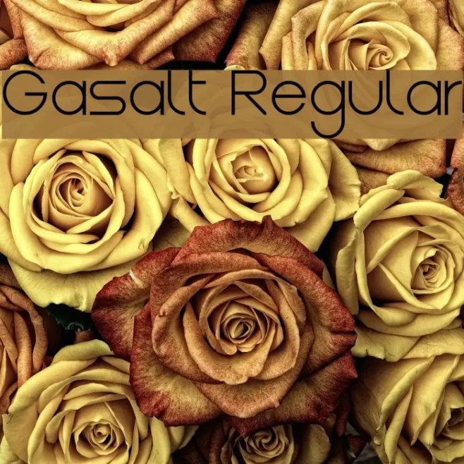 Gasalt Regular Example 3