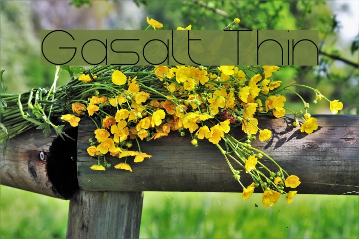 Gasalt Thin Шрифта examples