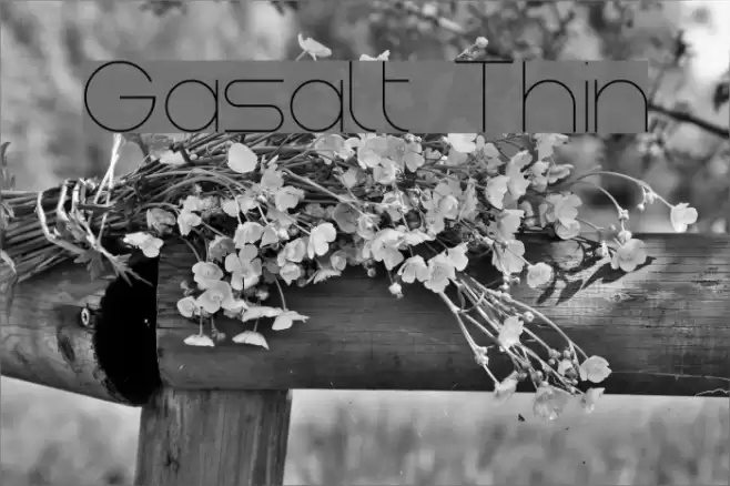 Gasalt Thin Font examples