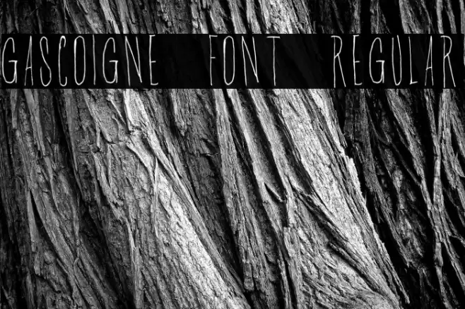 Gascoigne Font Regular Font examples