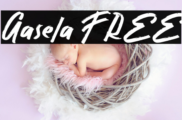 Gasela FREE Example 1